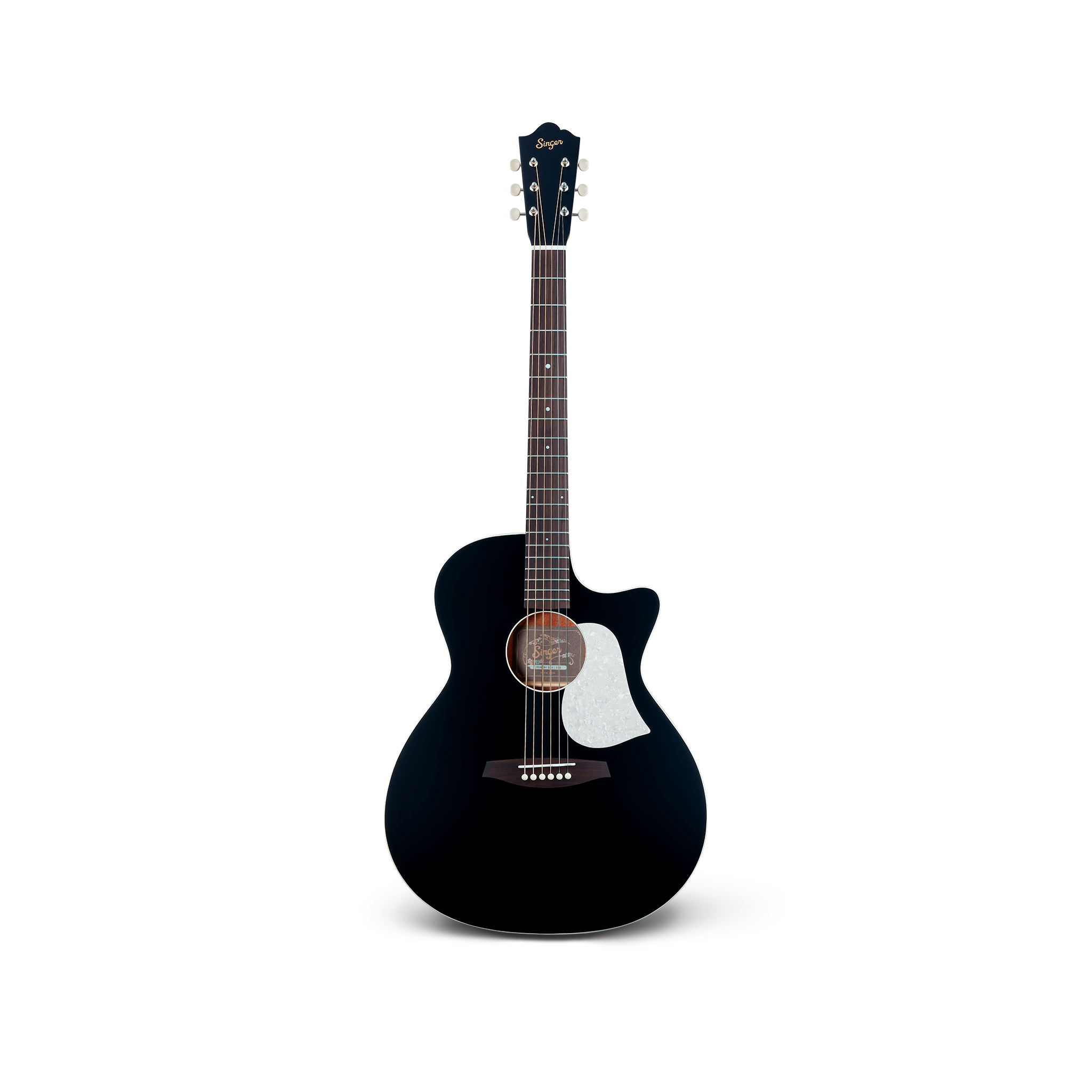 IMAGINE 01 SERIES – SINGER GUITARS